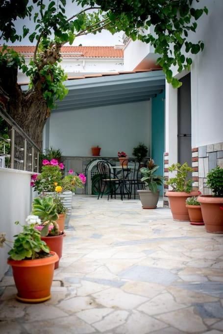 Spacious Apartment In The Heart Of Pythagorion Luaran gambar